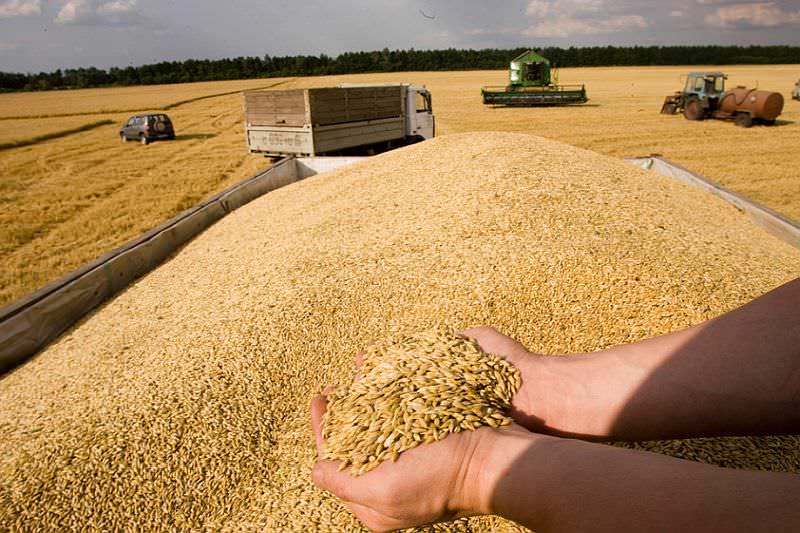 1 Mayıs'tan itibaren Türkiye, buğday, arpa ve mısır ithalatına yüzde 130 gümrük vergisi getiriyor.
