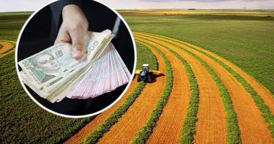 Ukrayna'da arazi piyasası açılmasından sonra ne kadar arazi satıldı?