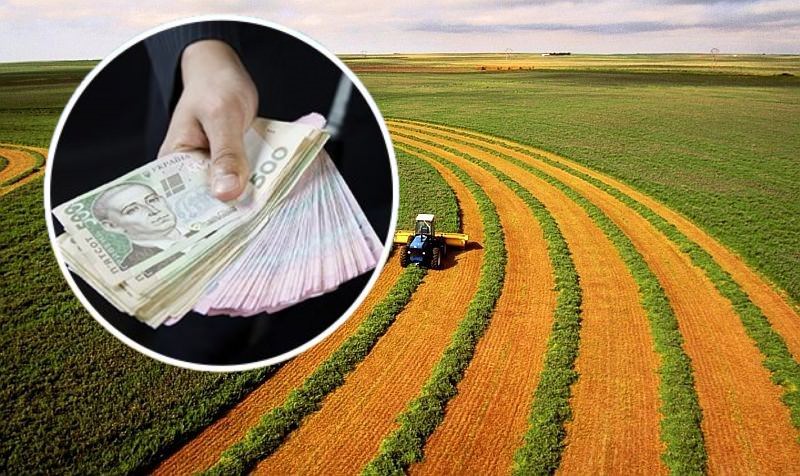 Ukrayna'da arazi piyasası açılmasından sonra ne kadar arazi satıldı?
