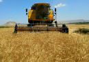 Savaş sebebiyle, Ukrayna'da gelecek yılki hasatın yüzde 40 düşmesi bekleniyor