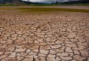 Ukrayna çöl olma riskiyle karşı karşıya: uzmanlar iklimsel "Armageddon" konusunda uyardı