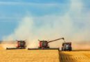 Ukraynalı çiftçiler bu sezon şimdiden 46.7 milyon ton yeni mahsul hasat etti